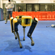 Image for article titled Honolulu Police Department Used $150,000 in CARES Funds on Robot Dog